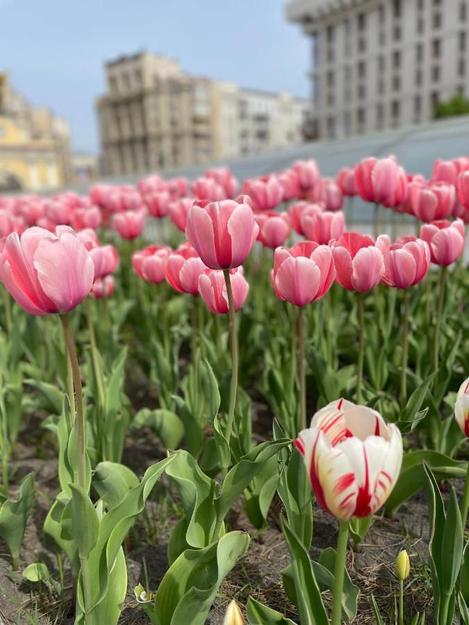 Однокімнатні Апартаменти На Майдані, Дистанційне Заселення 24Х7 Kyjev Exteriér fotografie
